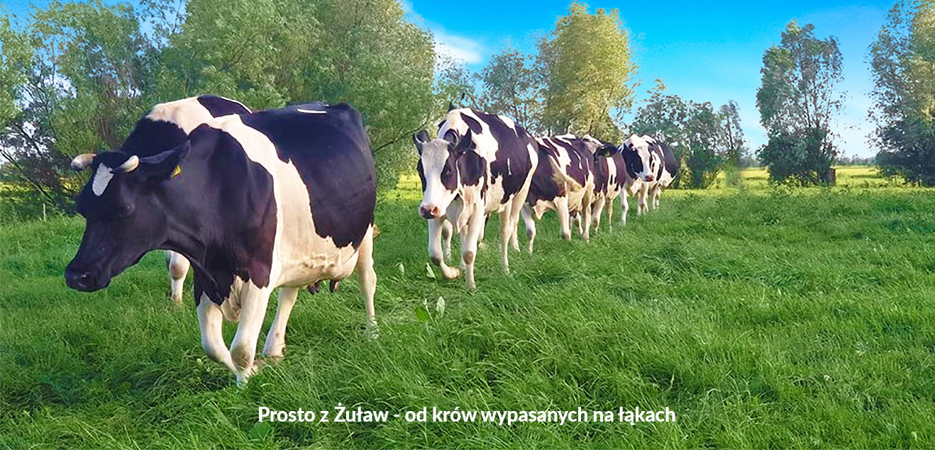 Maluta - Produkty prosto z Żuław
